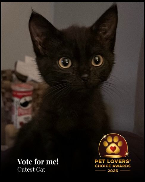 Michael | Pet Lovers' Choice Awards