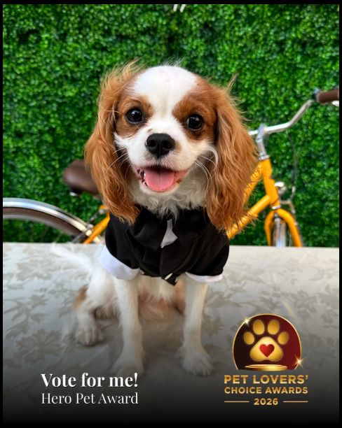 Leo | Pet Lovers' Choice Awards