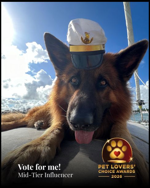 Apollo | Pet Lovers' Choice Awards