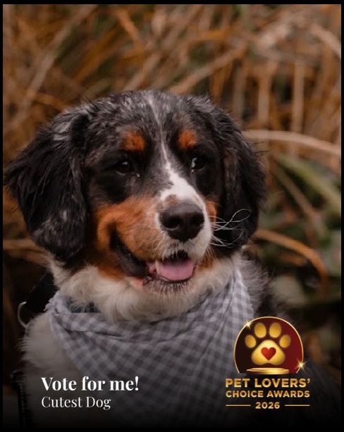 Ripken | Pet Lovers' Choice Awards