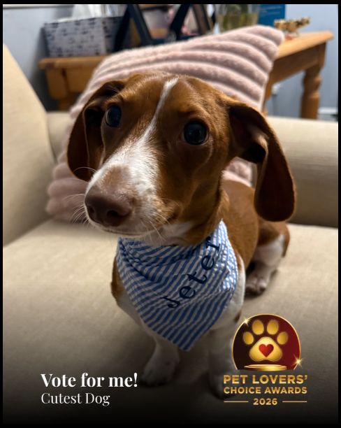 Jeter | Pet Lovers' Choice Awards