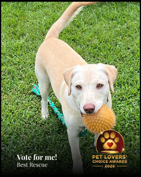 Riley | Pet Lovers' Choice Awards