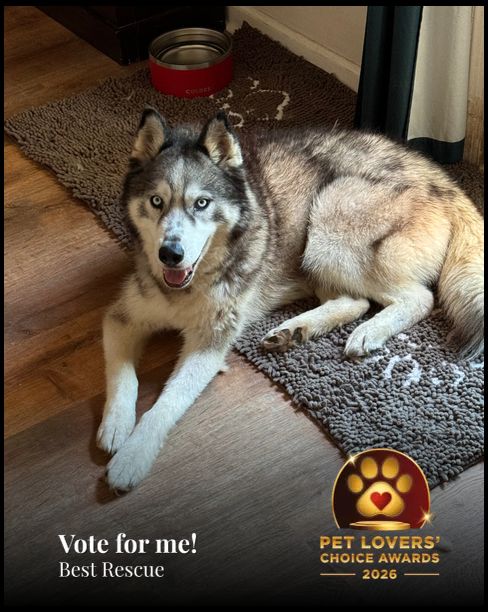 Zeus | Pet Lovers' Choice Awards
